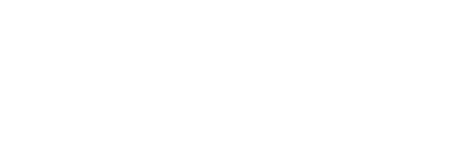 TONTECHNIK WOLFGANG FEDER logo